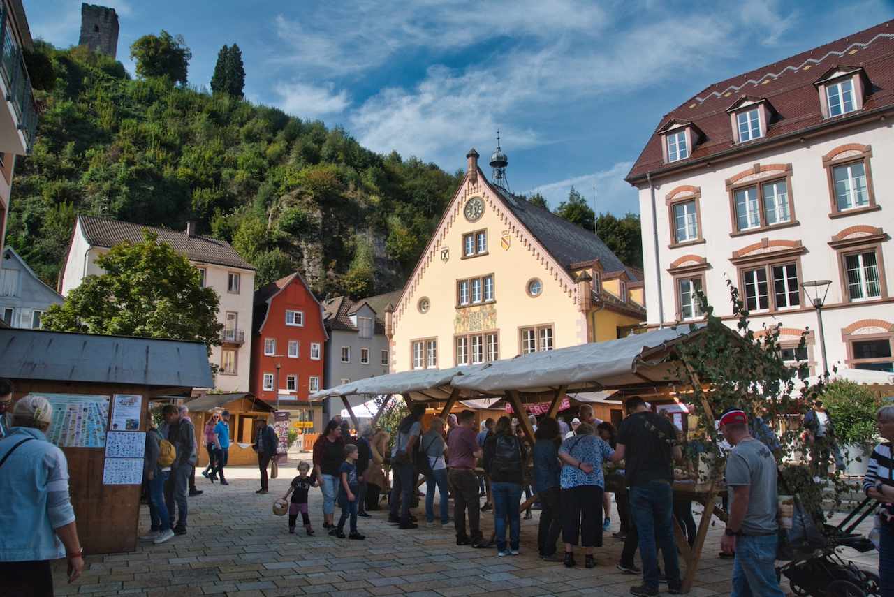 Tag des Pilzes - Bärenplatz