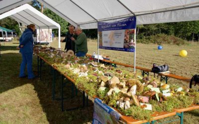 Waldfest der Jägervereinigung Esslingen 2024